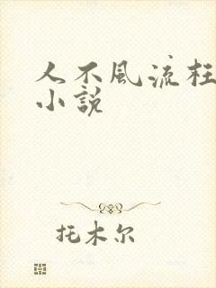 人不风流枉少年小说