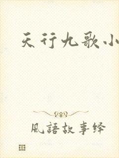 天行九歌小说