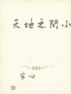 天地之间小说