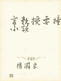 言教授要撞坏了小说