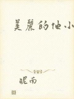 美丽的他小说