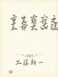 重生霸宠之摄政王爷太凶猛