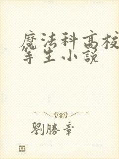 魔法科高校的劣等生小说