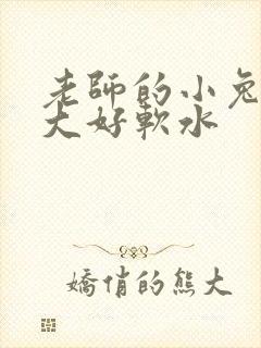 老师的小兔子好大好软水
