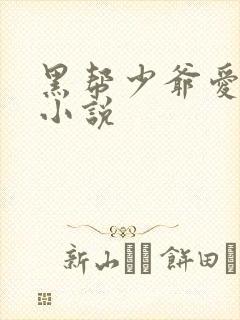 黑帮少爷爱上我小说
