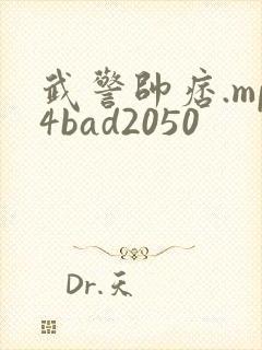 武警帅痞.mp4bad2050