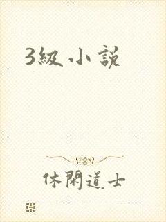 3级小说