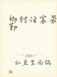 乡村活寡最新章节