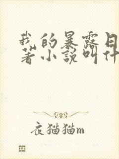 我的暴露日记原著小说叫什么