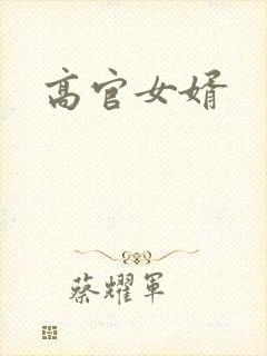 高官女婿