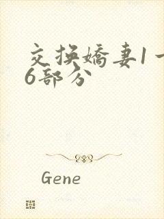 交换娇妻1一36部分