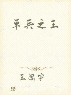 单兵之王