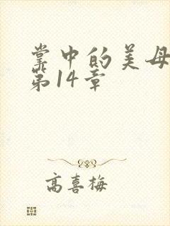 掌中的美母版主第14章