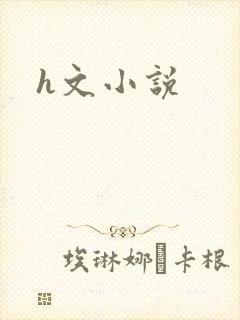 h文小说