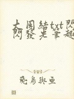 大团结txt闪闪发光笔趣阁