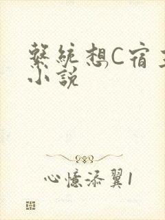 系统想C宿主的小说