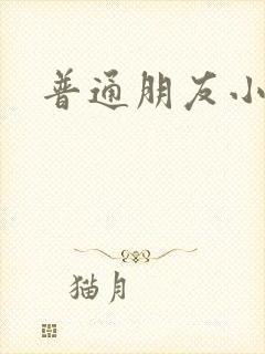 普通朋友小说