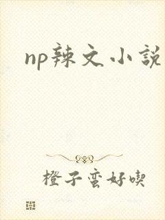np辣文小说