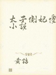 太子侧妃傻乎乎小说