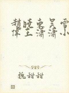 赵晓东吴雪晴郑伟王潇潇小说名字