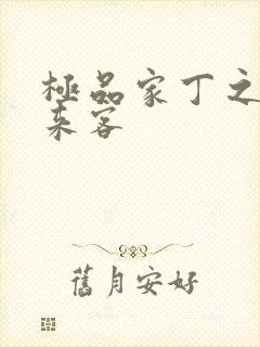 极品家丁之远方来客