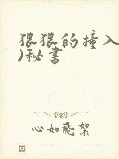 狠狠的撞入(h)秘书