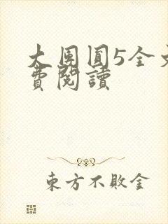 大团圆5全文免费阅读