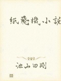 纸飞机小说