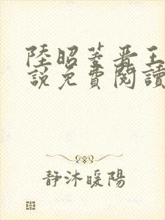 陆昭菱晋王的小说免费阅读