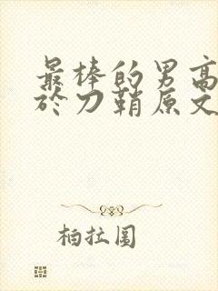 最棒的男高中生于刀鞘原文阅读