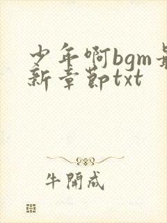 少年啊bgm最新章节txt