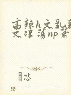 高辣h文乱乳h文浪荡np萧太后