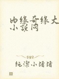 内缘奇缘大团圆小说网