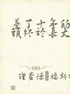 养了十年的小丫头终于长大了