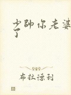 少帅你老婆又跑了