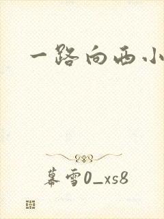 一路向西小说