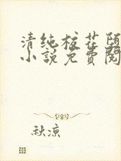 清纯校花堕落记小说免费阅读