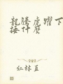 龙腾虎跃下一句接什么