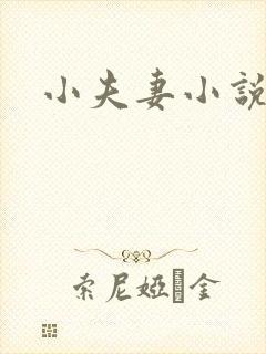 小夫妻小说