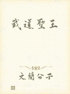 武道圣王