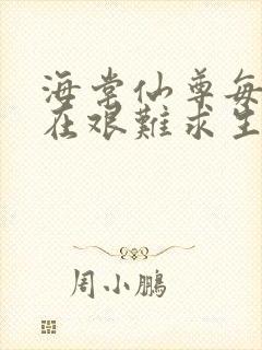 海棠仙尊每天都在艰难求生