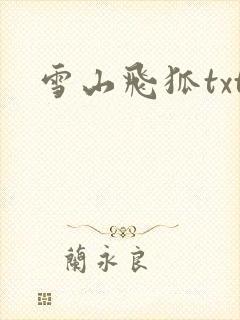 雪山飞狐txt