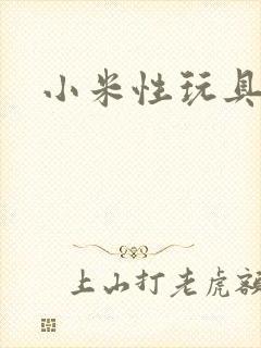 小米性玩具日记