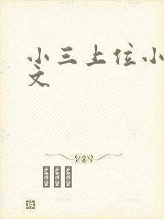 小三上位小说全文