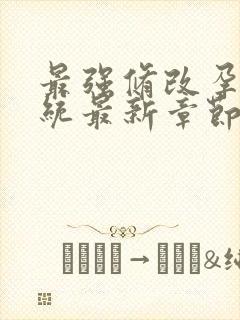 最强修改孕妇系统最新章节