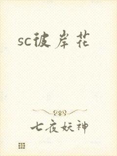 sc彼岸花