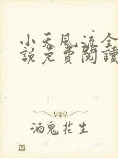 小天风流全集小说免费阅读
