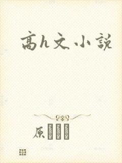 高h文小说