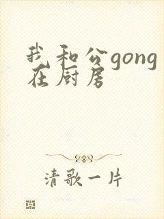 我和公gong在厨房