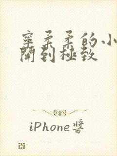 宁柔柔的小泬撑开到极致